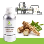 Angelica root Essential oil