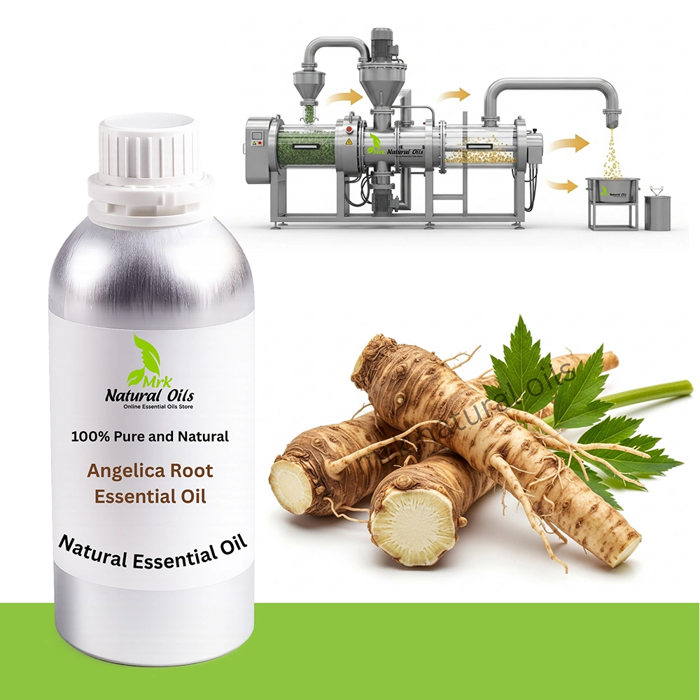 Angelica-Root-Essential-Oil