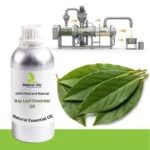 Bay Leaf Essential Oil