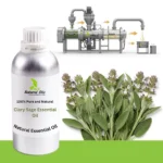 Clary Sage Essential Oil