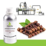 Clove Essential oil