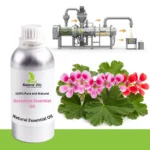 Geranium Essential Oil