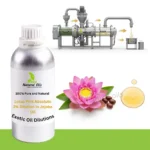 Lotus Pink Absolute 3% Dilution in Jojoba Oil