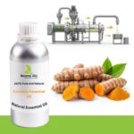 Turmeric Essential Oil