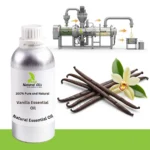 Vanilla Essential Oil