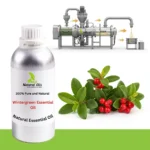 Wintergreen Essential Oil