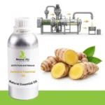 Zedoaria Essential Oil